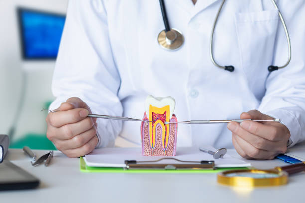 Best Emergency Dental Care for Abscessed Tooth in Porter Heights, TX